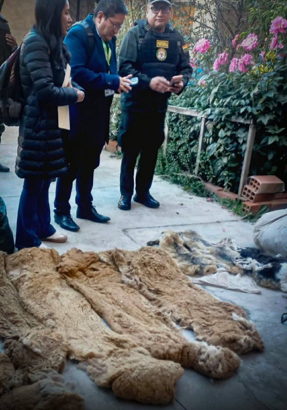 Golpe al tráfico ilegal: caen dos personas por tenencia de fauna protegida en El Alto