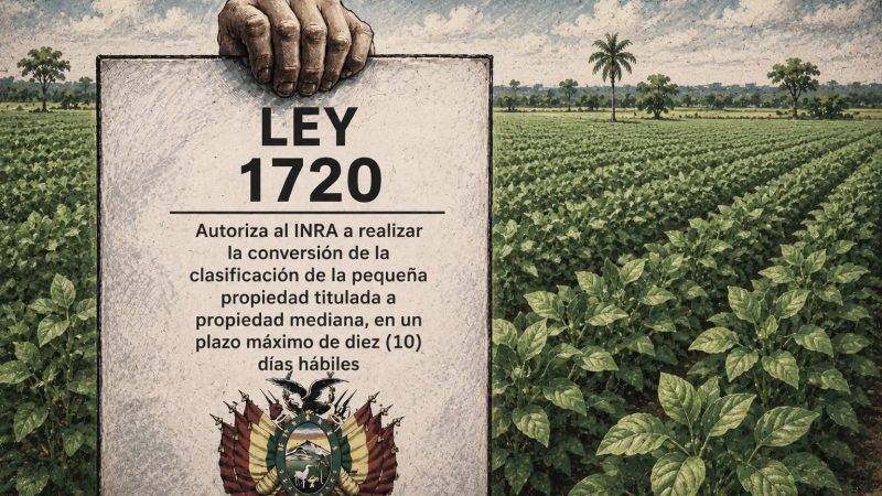 LEY 1720 Y CASO CRAPUZZI