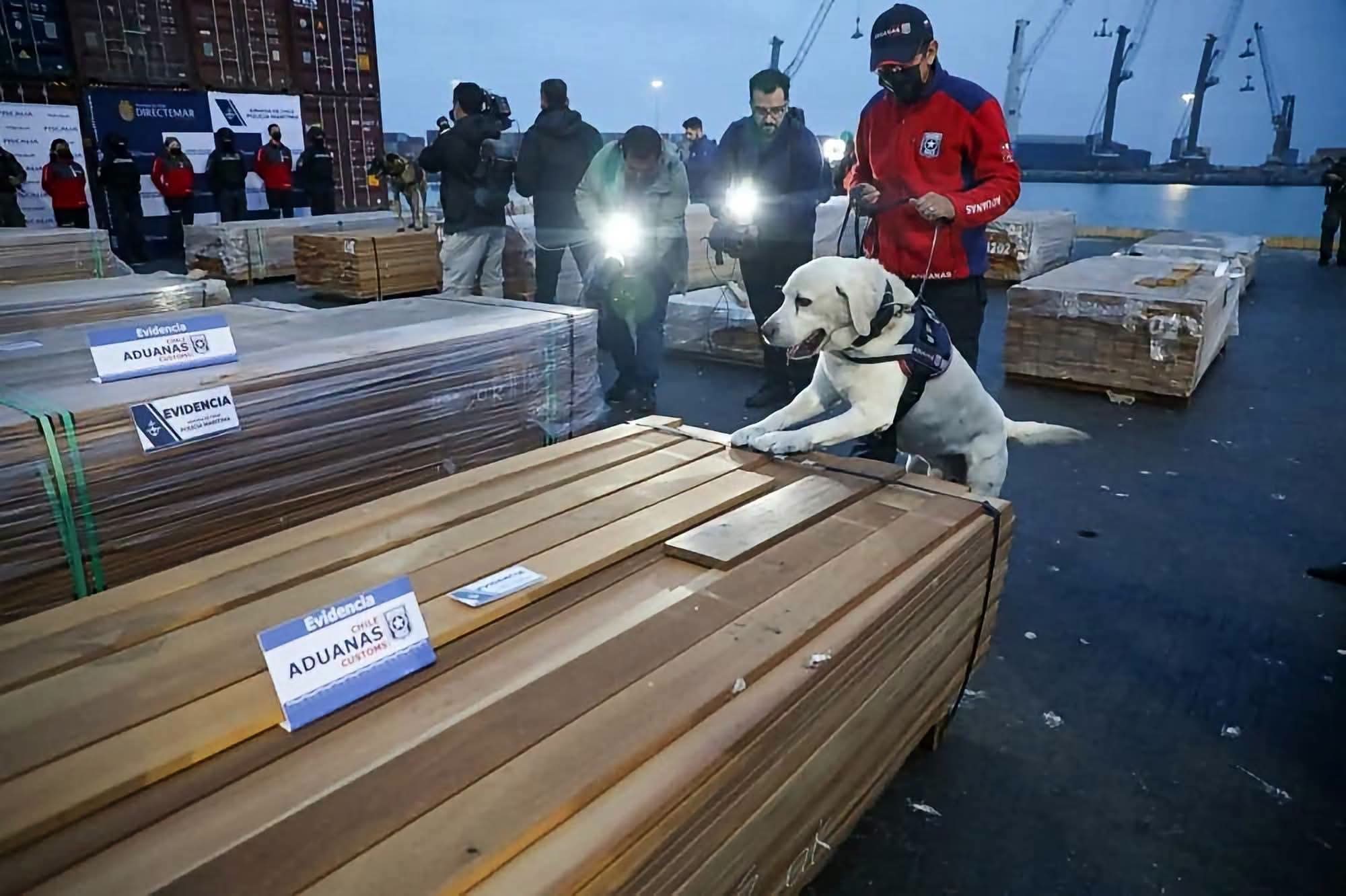 Denuncian red de narcotráfico vinculada a empresas exportadoras de madera: más de 100 toneladas de droga fueron detectadas en puertos de Chile con destino a Europa