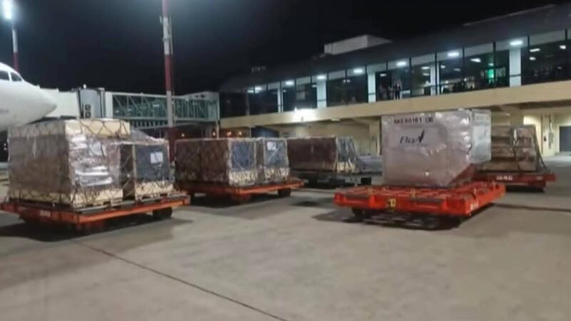 Escándalo en Viru Viru: frustran envío de madera a EE.UU. ligado a empresa investigada por narcotráfico internacional