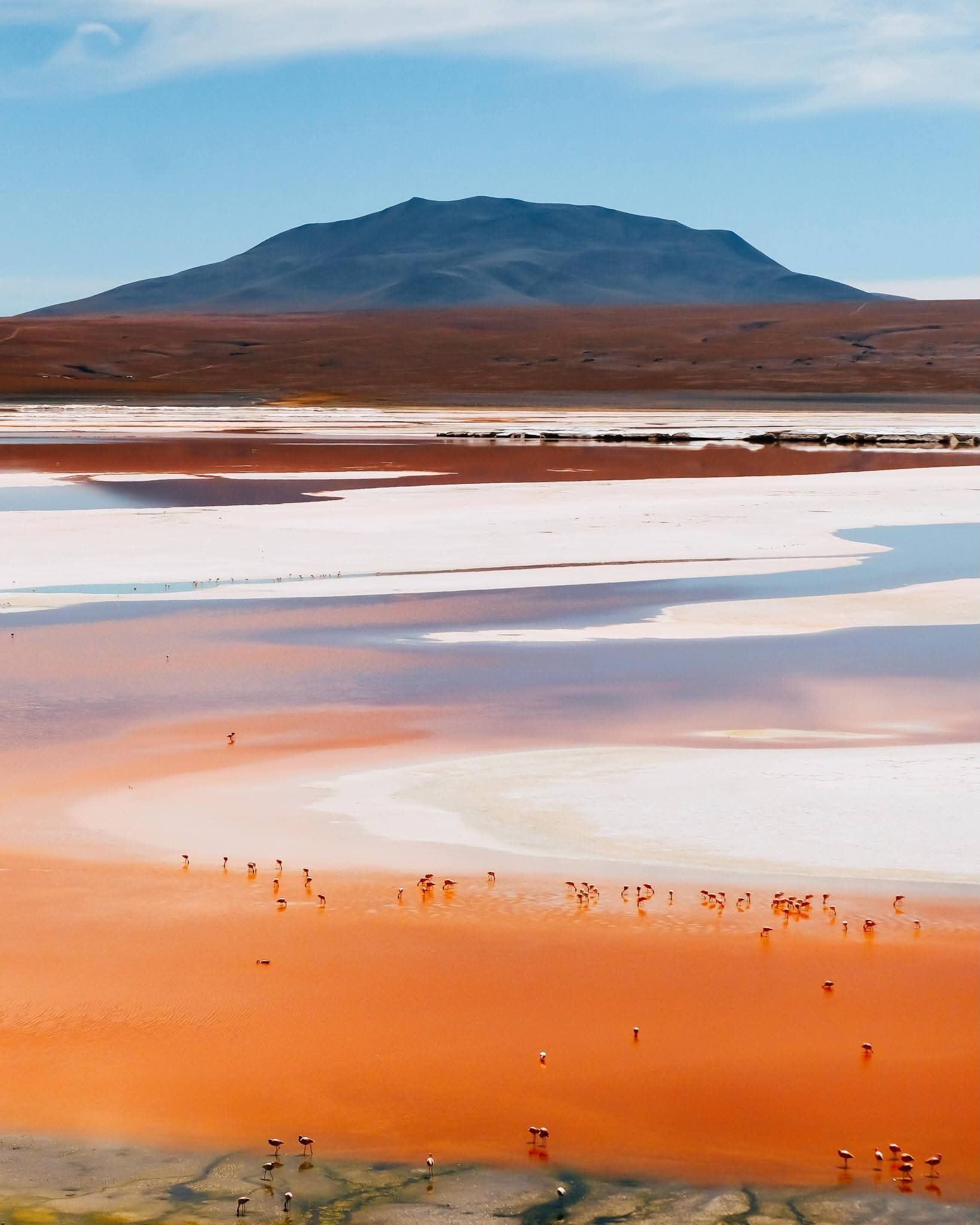 Laguna Colorada: la joya natural del sudoeste potosino que cautiva al mundo