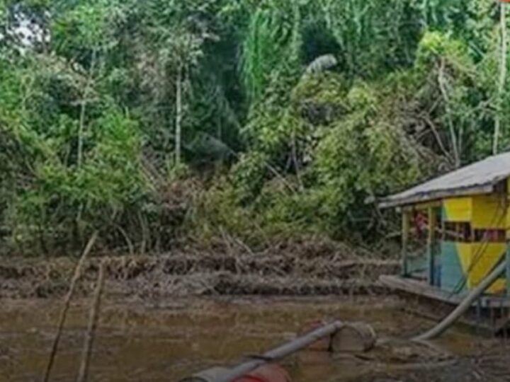 Minería ilegal avanza y pone en riesgo al menos 10 parques nacionales en Bolivia