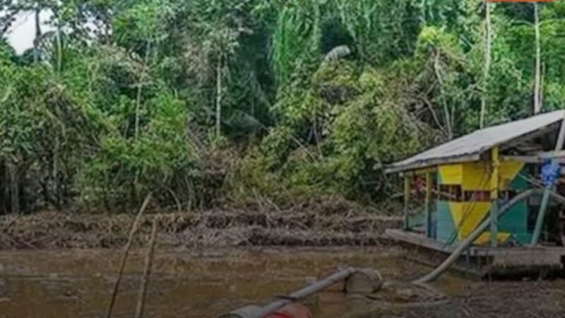 Minería ilegal avanza y pone en riesgo al menos 10 parques nacionales en Bolivia