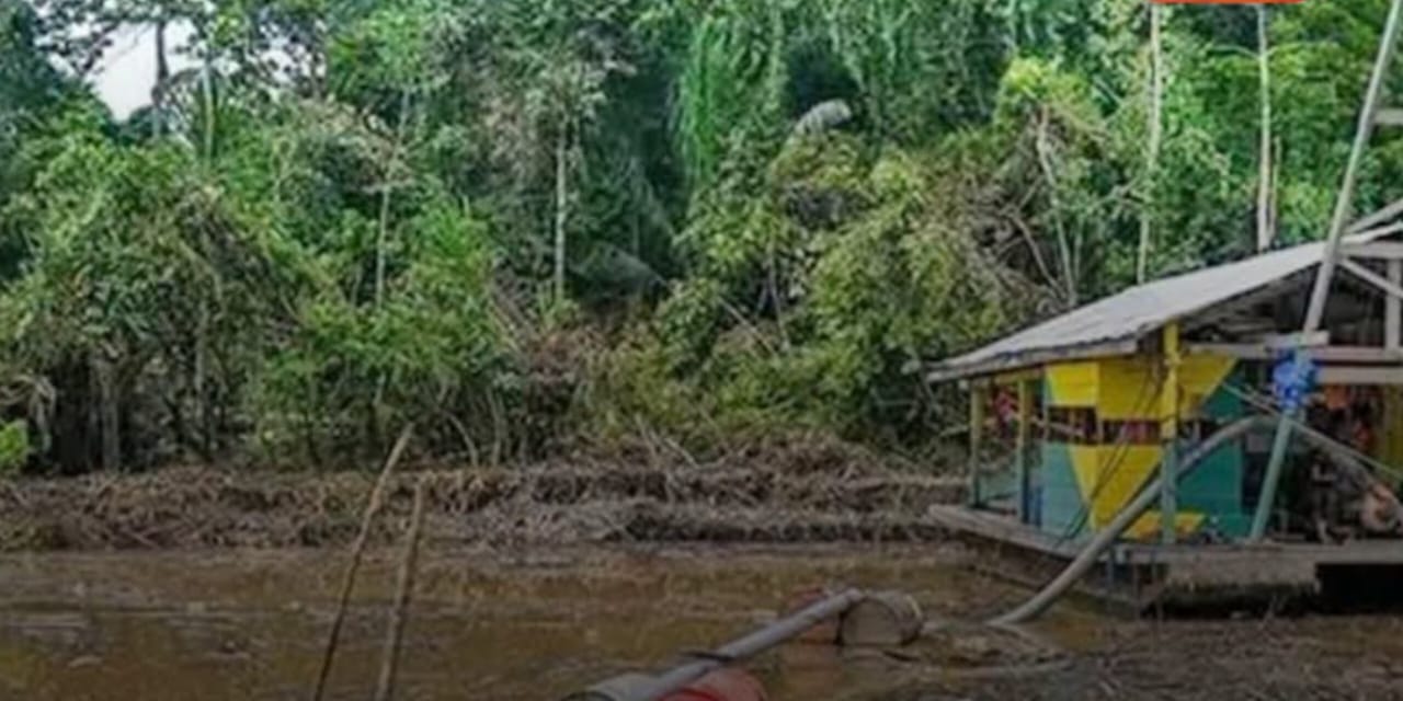 Minería ilegal avanza y pone en riesgo al menos 10 parques nacionales en Bolivia