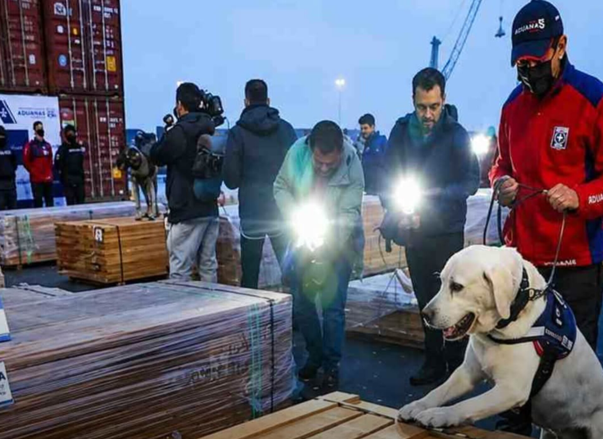 Fiscalía cierra el caso “Narcomaderas” tras descartar presencia de cocaína; sector forestal exige resarcimiento por millonarias pérdidas